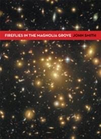 Fireflies in the Magnolia Grove